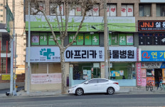 아프리카동물병원