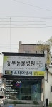 동부동물병원