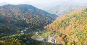청화원