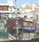 천신불사