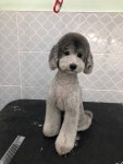 러블리멍