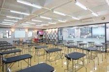 벨라루시애견미용학원 분당본원