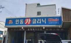안동카클리닉