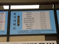 부엉이 스팀세차