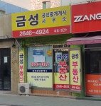 금성부동산