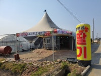 솔비네딸기 체험농장