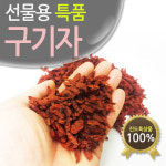 진도허브