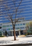 부산진구청