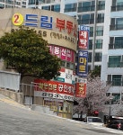 월드전문공인중개사사무소