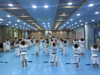 세종의아침태권도