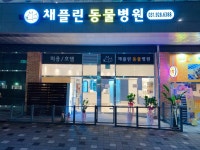 채플린동물병원