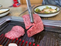 보물섬남해한우식육식당