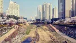 판교랜드공인중개사사무소