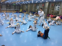세종의아침태권도