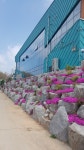 강서방 생선구이