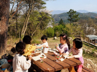 민토리숲