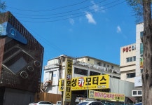 금성카모터스