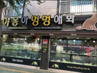 펫피아 양산점