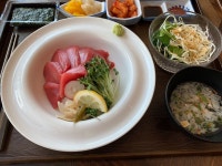 진돈