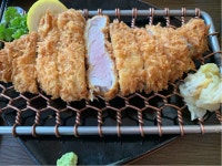 진돈