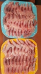 오이도스타호바다배낚시체험