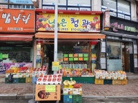 나은청과