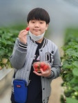솔비네딸기 체험농장