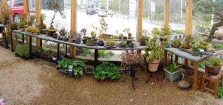 영희의들꽃정원