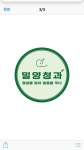 밀양청과