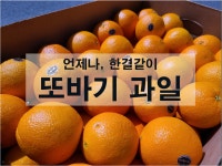 또바기