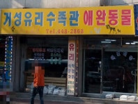거성유리수족관애완동물