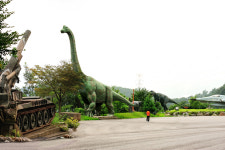 꿈의동산 놀이공원