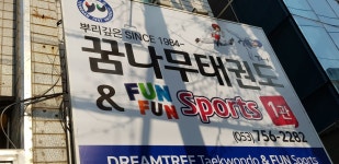 꿈나무태권도