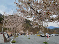 한스빌리지캠핑장