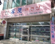 유로애견샵