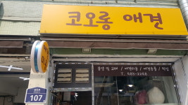 코오롱애견