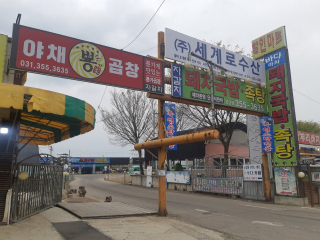 바다마차