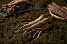 거산 이가네더덕밥