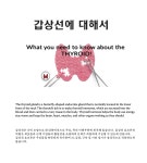 서울이내과의원