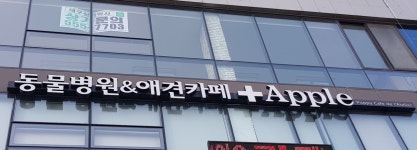 애플동물병원