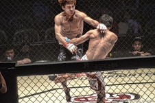 울프짐주짓수&MMA