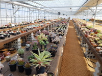 푸르미다육농원