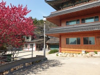 구룡사