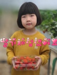 솔비네딸기 체험농장
