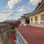 달돋이마을