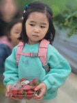 솔비네딸기 체험농장