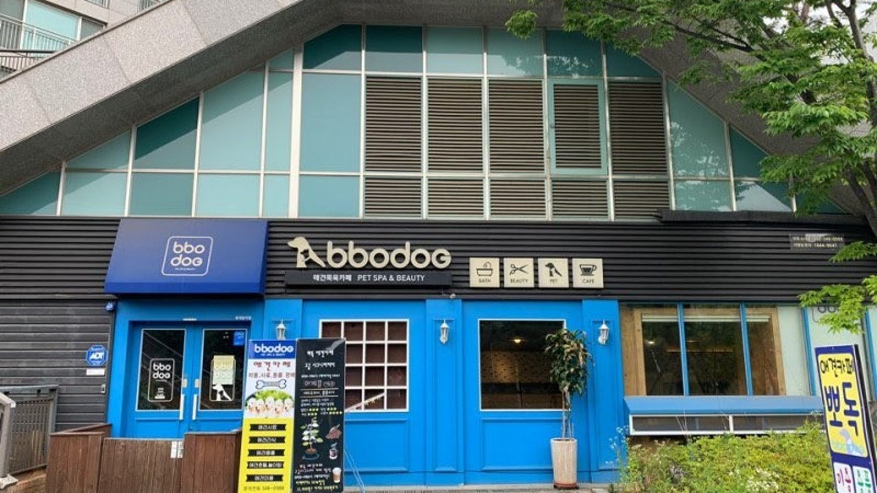 뽀독애견카페