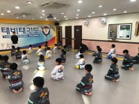 국가대표태비태권도