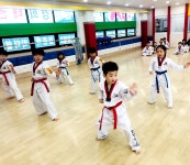 인성경희태권도