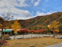숲이조아 오토캠핑장